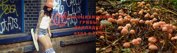 мескалин Горно-Алтайск