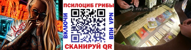 Купить где  Приволжск  Галлюциногенные грибы Cubensis 